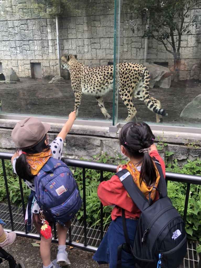 多摩動物園に行ってきました！【School Trip 2022】